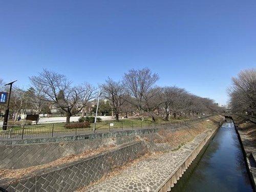 善福寺川緑地