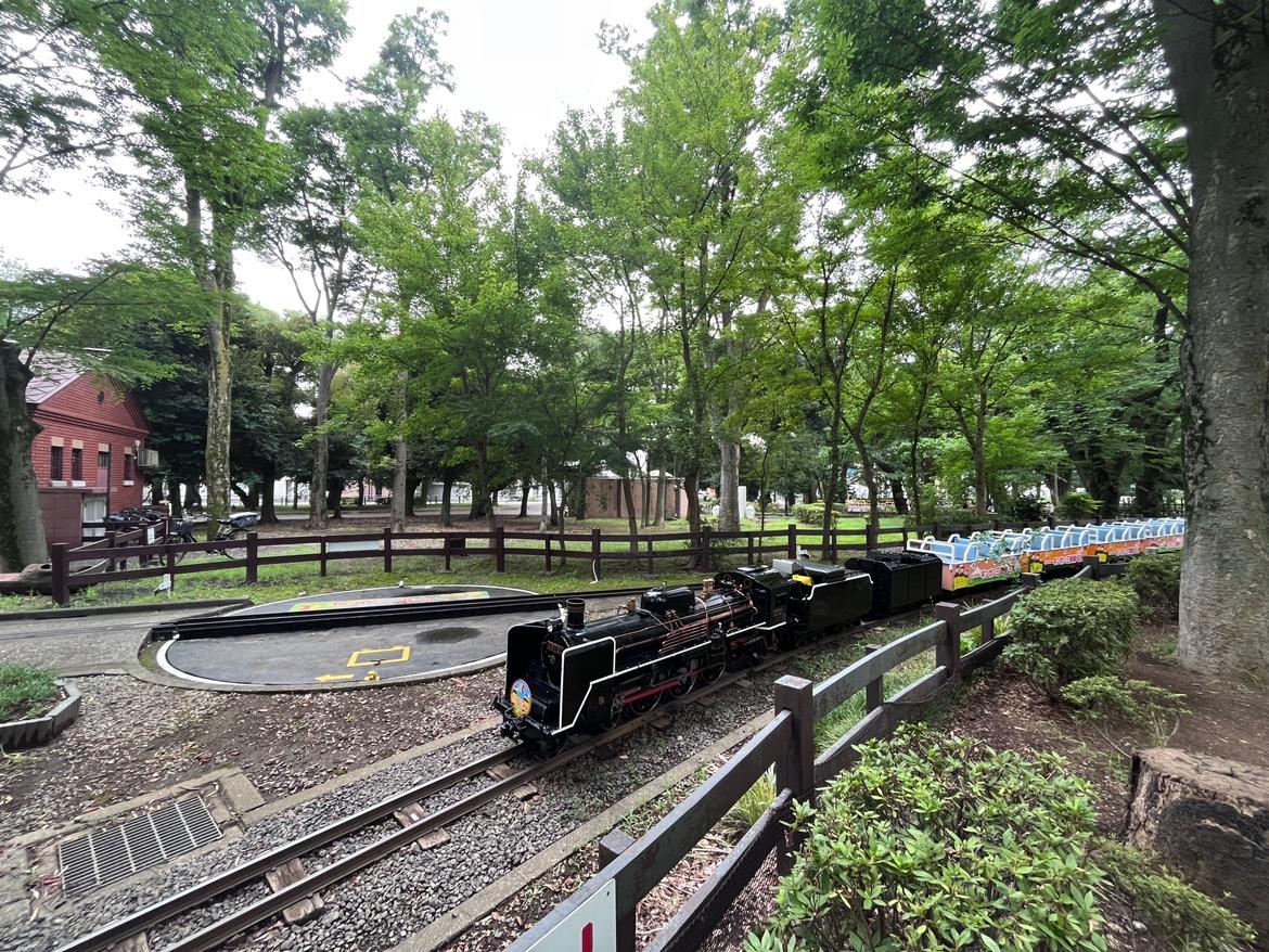 世田谷公園
