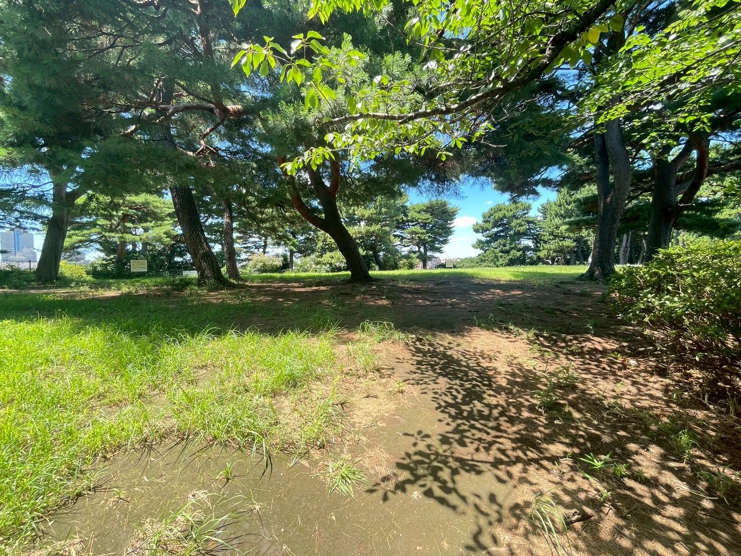 鵜の木松山公園