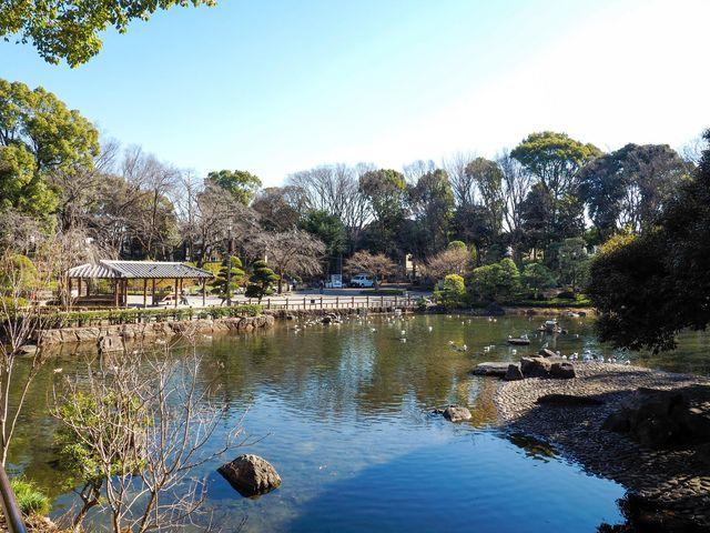 品川区立戸越公園