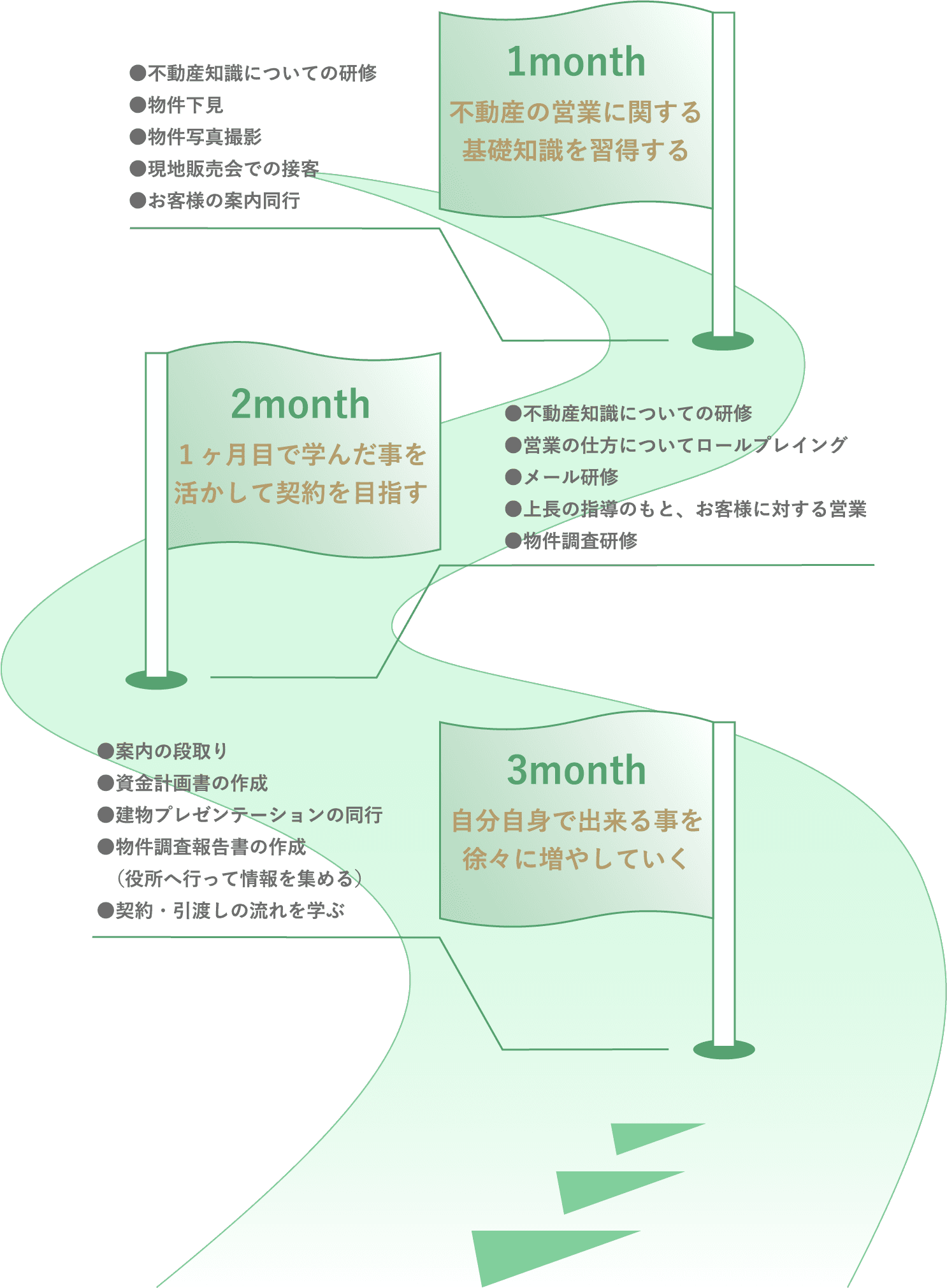 入社後のロードマップ